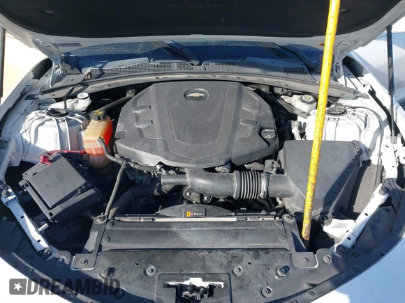 2019 Chevrolet Camaro 1LT with VIN 1G1FB3DS8K0117600, listed as a IAAI auction lot 41174936 with 110,273 mi miles. Bid and sale history available at carsss.com. Image 10.