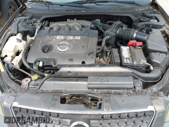 2005 Nissan Altima SE-R with VIN 1N4BL11D55C167862, listed as a IAAI auction lot 42415547 with Not provided miles and . Bid and sale history available at DreamBid. Image 10.