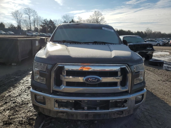 2016 Ford F-150 XLT with VIN 1FTEW1EF1GFD20720, listed as a Copart auction lot 45160935 with 185,825 mi miles and Salvage Title. Bid and sale history available at carsss.com. Image 5.