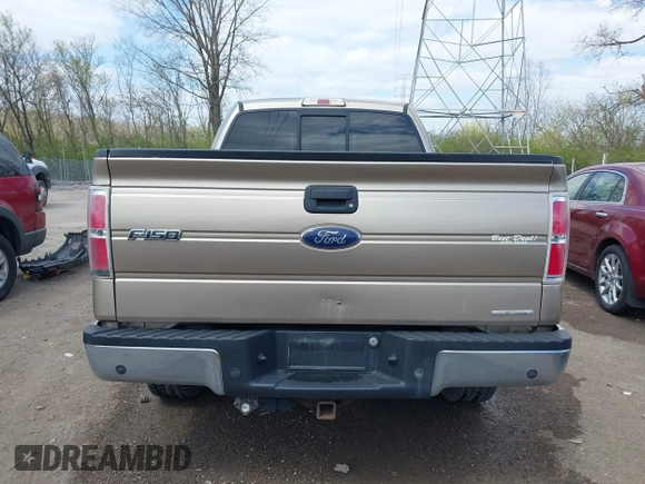 2013 Ford F-150 XL with VIN 1FTEX1CM2DFA94729, listed as a IAAI auction lot 41995108 with 283,724 mi miles. Bid and sale history available at carsss.com. Image 16.