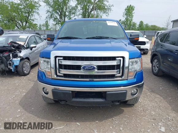 2013 Ford F-150 XL with VIN 1FTFW1EF9DFC72609, listed as a IAAI auction lot 42150526 with 229,000 mi miles. Bid and sale history available at carsss.com. Image 12.