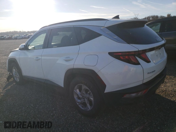 2024 Hyundai Tucson SEL with VIN 5NMJB3DE9RH296574, listed as a Copart auction lot 41799845 with 40,596 mi miles and Clean Title. Bid and sale history available at DreamBid. Image 2.
