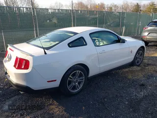2010 Ford Mustang V6 with VIN 1ZVBP8AN7A5155689, listed as a IAAI auction lot 41775195 with 179,353 mi miles and . Bid and sale history available at DreamBid. Image 4.