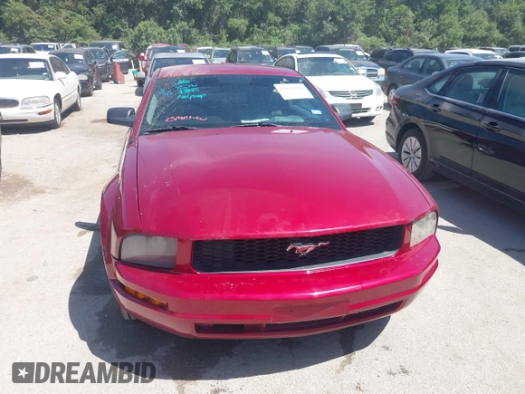 2006 Ford Mustang Standard with VIN 1ZVFT80N565169967, listed as a IAAI auction lot 42632504 with 168,239 mi miles and . Bid and sale history available at DreamBid. Image 6.