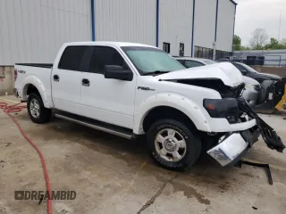 2009 Ford F-150 XL with VIN 1FTRW14869FA71810, listed as a Copart auction lot 55146085 with 191,405 mi miles and Non repairable. Bid and sale history available at DreamBid. Image 4.
