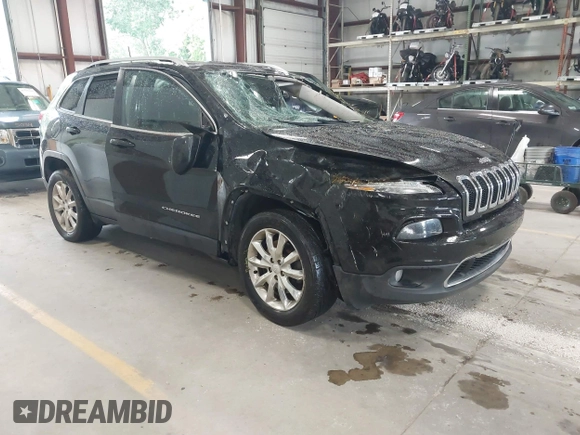 2017 Jeep Cherokee Limited with VIN 1C4PJMDS0HW651300, listed as a IAAI auction lot 42600208 with 221,756 mi miles and . Bid and sale history available at DreamBid. Image 1.