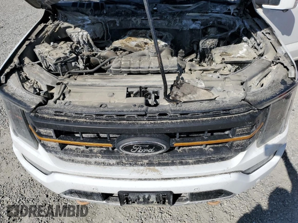 2022 Ford F-150 XL with VIN 1FTEW1E87NFA71998, listed as a Copart auction lot 49880045 with 0 mi miles and Salvage Title. Bid and sale history available at carsss.com. Image 11.