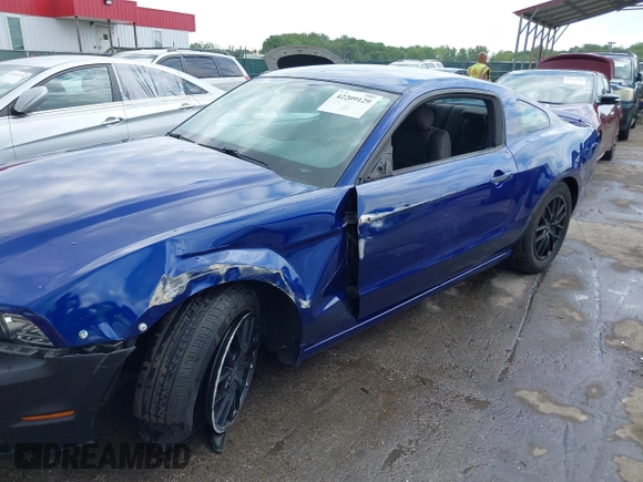 2013 Ford Mustang V6 with VIN 1ZVBP8AM7D5228491, listed as a IAAI auction lot 42209129 with 146,461 mi miles and . Bid and sale history available at DreamBid. Image 6.