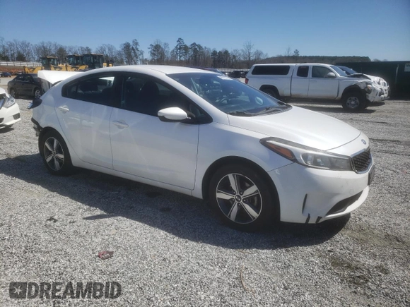 2018 Kia Forte LX with VIN 3KPFL4A75JE225608, listed as a Copart auction lot 49241415 with 188,236 mi miles and Salvage Title. Bid and sale history available at carsss.com. Image 4.