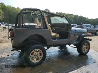 1994 Jeep Wrangler S with VIN 1J4FY19PXRP438743, listed as a Copart auction lot 70693064 with 94,401 mi miles and Salvage Title. Bid and sale history available at carsss.com. Image 3.