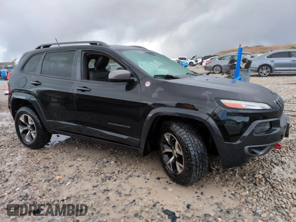 2014 Jeep Cherokee Trailhawk with VIN 1C4PJMBS1EW211570, listed as a Copart auction lot 51465845 with 156,320 mi miles and Salvage Title. Bid and sale history available at carsss.com. Image 4.