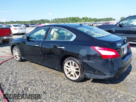 2011 Nissan Maxima SV with VIN 1N4AA5APXBC858867, listed as a IAAI auction lot 42612007 with 201,235 mi miles and . Bid and sale history available at DreamBid. Image 3.