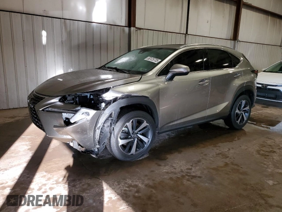 2021 Lexus NX with VIN JTJGARDZ6M2245174, listed as a Copart auction lot 50125735 with 18,957 mi miles and Salvage Title. Bid and sale history available at carsss.com. Image 1.