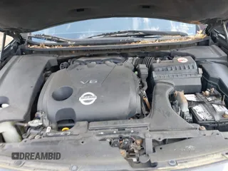 2009 Nissan Maxima SV with VIN 1N4AA51E29C800664, listed as a IAAI auction lot 42164024 with Not Provided miles and . Bid and sale history available at DreamBid. Image 10.