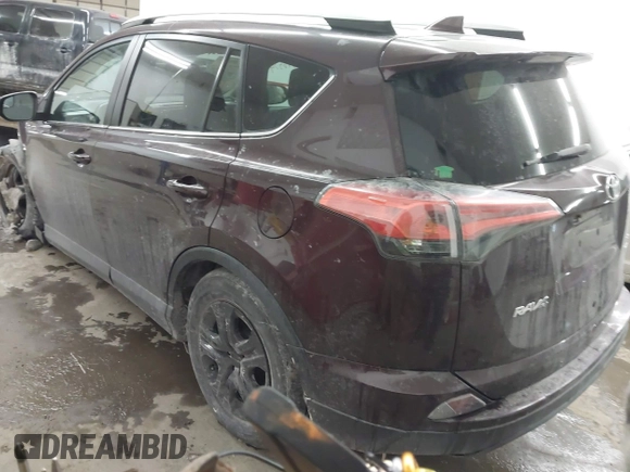 2016 Toyota RAV4 LE with VIN 2T3BFREVXGW482935, listed as a IAAI auction lot 41596534 with 137,205 mi miles. Bid and sale history available at carsss.com. Image 3.