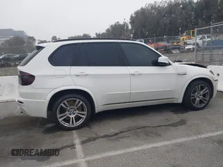 2010 BMW X5 M with VIN 5YMGY0C52ALK25509, listed as a IAAI auction lot 41227049 with 1 mi miles. Bid and sale history available at carsss.com. Image 13.