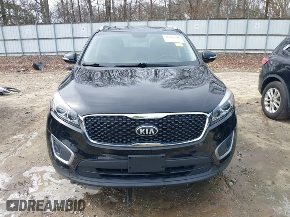 2017 Kia Sorento LX with VIN 5XYPG4A37HG282038, listed as a IAAI auction lot 41559146 with 74,848 mi miles. Bid and sale history available at carsss.com. Image 13.