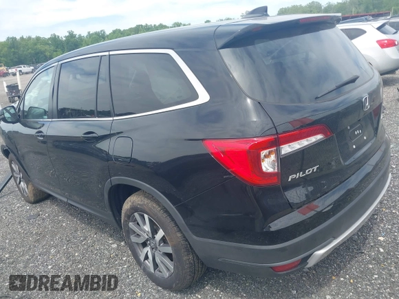 2021 Honda Pilot EX-L with VIN 5FNYF6H53MB097089, listed as a IAAI auction lot 42309359 with 58,371 mi miles and . Bid and sale history available at DreamBid. Image 3.