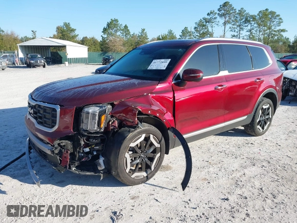 2023 Kia Telluride S with VIN 5XYP64GC4PG365452, listed as a IAAI auction lot 41772899 with 51,599 mi miles and . Bid and sale history available at DreamBid. Image 2.