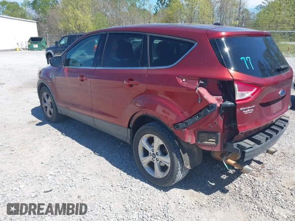 2014 Ford Escape SE with VIN 1FMCU0G91EUA06505, listed as a IAAI auction lot 41812258 with 285,292 mi miles. Bid and sale history available at carsss.com. Image 3.