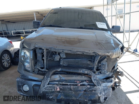 2013 Ford F-150 XL with VIN 1FTFX1CFXDFD81774, listed as a IAAI auction lot 41788362 with 146,352 mi miles. Bid and sale history available at carsss.com. Image 12.