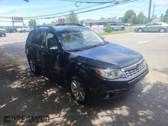 2013 Subaru Forester X Premium with VIN JF2SHADC8DH441587, listed as a Copart auction lot 58090975 with 163,170 mi miles and Clean title. Bid and sale history available at DreamBid. Image 1.