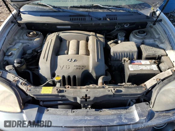 2004 Hyundai Santa Fe GLS with VIN KM8SC73D54U725708, listed as a Copart auction lot 46287865 with 56,032 mi miles and Clean Title. Bid and sale history available at carsss.com. Image 12.