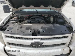 2007 Chevrolet Silverado 1500 1LT with VIN 2GCEC13J071559229, listed as a Copart auction lot 44934385 with 219,543 mi miles and Salvage Title. Bid and sale history available at DreamBid. Image 12.