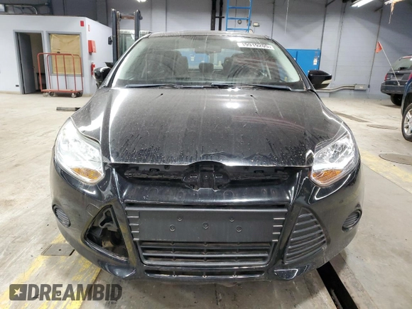 2013 Ford Focus SE with VIN 1FADP3F22DL379794, listed as a Copart auction lot 49919205 with 74,277 mi miles and Clean Title. Bid and sale history available at carsss.com. Image 5.