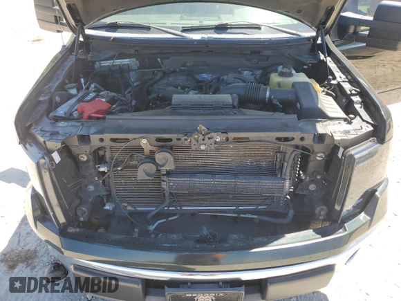 2013 Ford F-150 XL with VIN 1FTMF1CM1DFD63978, listed as a Copart auction lot 52976295 with 173,007 mi miles and Salvage title. Bid and sale history available at DreamBid. Image 11.