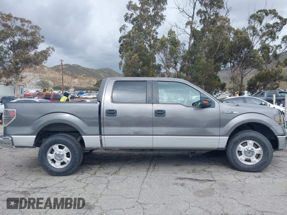 2010 Ford F-150 XL with VIN 1FTEW1C87AKB05460, listed as a IAAI auction lot 41734786 with 198,395 mi miles. Bid and sale history available at carsss.com. Image 14.