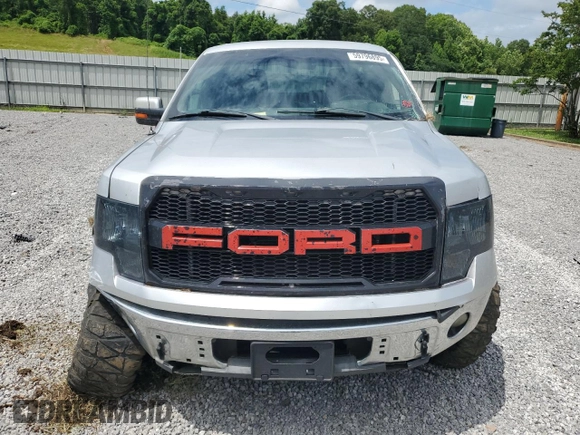 2010 Ford F-150 XL with VIN 1FTEW1C84AKE62319, listed as a Copart auction lot 59796895 with 179,589 mi miles and Salvage title. Bid and sale history available at DreamBid. Image 5.