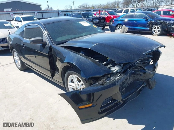 2013 Ford Mustang V6 with VIN 1ZVBP8AM8D5259572, listed as a IAAI auction lot 41655526 with 42,753 mi miles. Bid and sale history available at carsss.com. Image 1.