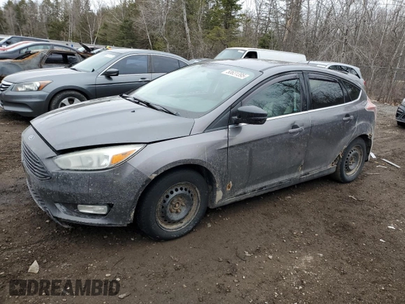 2012 Ford Focus SEL with VIN 1FAHP3M28CL149020, listed as a Copart auction lot 50631395 with 67,368 mi miles and Clean Title. Bid and sale history available at carsss.com. Image 1.