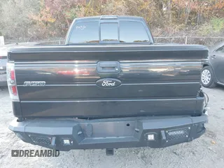 2010 Ford F-150 XL z VIN 1FTEX1EW3AFB48534, wystawiony jako IAAI lot #40646062 z przebiegiem 138 625 mil mil oraz . Historia ofert i sprzedaży dostępna na DreamBid. Obrazek 15.