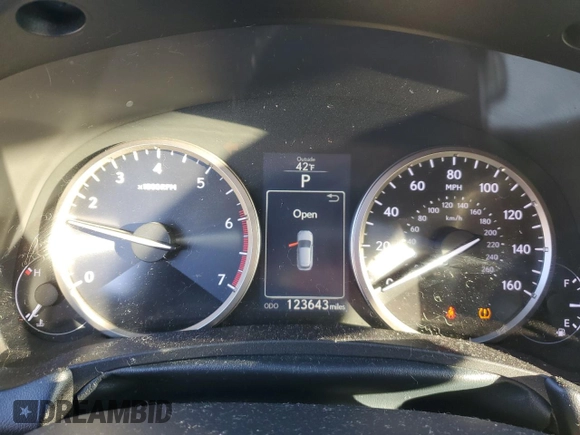 2017 Lexus NX with VIN JTJYARBZ0H2060406, listed as a Copart auction lot 88047045 with 123,643 mi miles and Salvage Title. Bid and sale history available at carsss.com. Image 9.