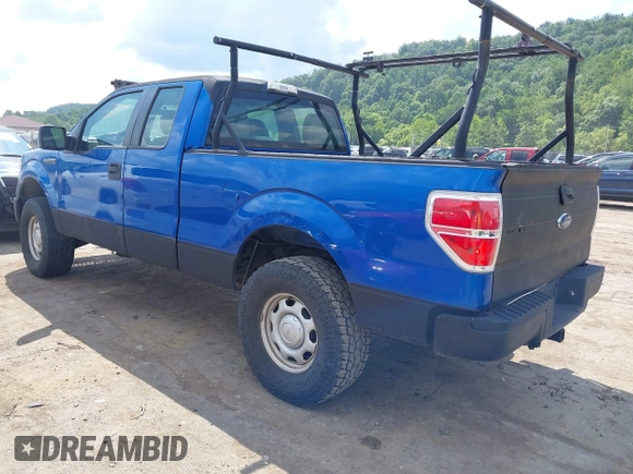 2010 Ford F-150 XL with VIN 1FTEX1E81AFC69211, listed as a IAAI auction lot 42678267 with 174,127 mi miles and . Bid and sale history available at DreamBid. Image 3.