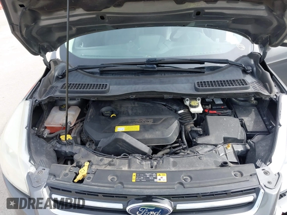 2013 Ford Escape SEL with VIN 1FMCU0HX5DUB82534, listed as a IAAI auction lot 41769014 with 182,433 mi miles. Bid and sale history available at carsss.com. Image 10.