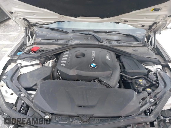 2017 BMW 2 Series 230i with VIN WBA2K9C38HV950695, listed as a IAAI auction lot 41610243 with 102,191 mi miles and . Bid and sale history available at DreamBid. Image 10.