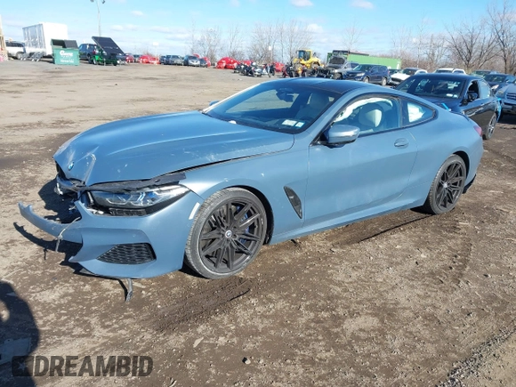 2019 BMW 8 Series M850i xDrive with VIN WBABC4C54KBU96780, listed as a IAAI auction lot 41015686 with 15,451 mi miles and . Bid and sale history available at DreamBid. Image 17.