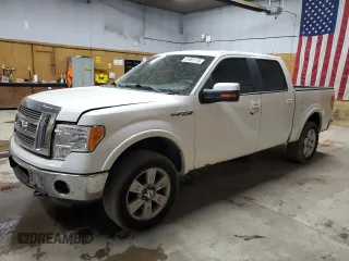 2010 Ford F-150 XL with VIN 1FTFW1EV1AFC96308, listed as a Copart auction lot 61661115 with 226,594 mi miles and Clean title. Bid and sale history available at DreamBid. Image 1.