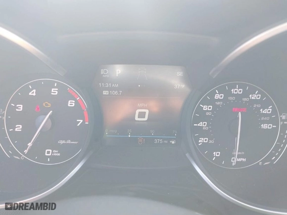 2019 Alfa Romeo Stelvio Ti Sport with VIN ZASPAKBN6K7C43720, listed as a IAAI auction lot 41174120 with 55,446 mi miles. Bid and sale history available at carsss.com. Image 7.