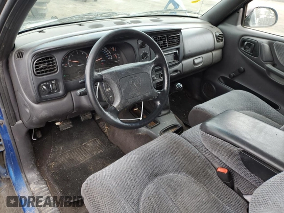 1999 Dodge Dakota SLT with VIN 1B7GL22X6XS298290, listed as a Copart auction lot 88682545 with 176,280 mi miles and Salvage Title. Bid and sale history available at carsss.com. Image 8.