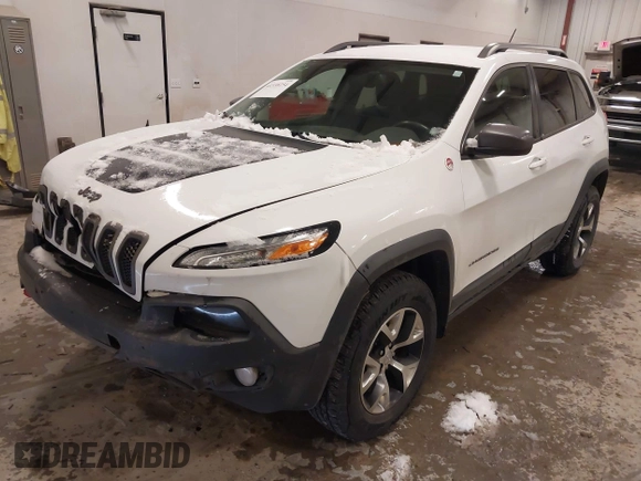 2014 Jeep Cherokee Trailhawk with VIN 1C4PJMBS5EW159912, listed as a IAAI auction lot 41538254 with 166,955 mi miles. Bid and sale history available at carsss.com. Image 2.