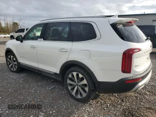 2020 Kia Telluride S with VIN 5XYP6DHC1LG004043, listed as a Copart auction lot 53561515 with 50,232 mi miles and Non Repairable. Bid and sale history available at DreamBid. Image 2.