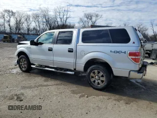 2009 Ford F-150 XL with VIN 1FTRW14819FB41374, listed as a Copart auction lot 50144435 with 110,685 mi miles and Non Repairable. Bid and sale history available at carsss.com. Image 2.