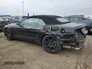 2019 Ford Mustang EcoBoost with VIN 1FATP8UH1K5196047, listed as a Copart auction lot 43608795 with 62,570 mi miles and Salvage Title. Bid and sale history available at carsss.com. Image 2.