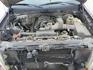2009 Ford F-150 XL with VIN 1FTRW12849FA64308, listed as a Copart auction lot 50622195 with 177,088 mi miles and Non Repairable. Bid and sale history available at carsss.com. Image 11.