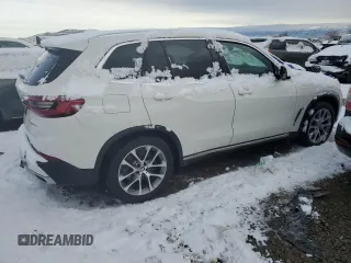 2019 BMW X5 xDrive40i with VIN 5UXCR6C50KLL04443, listed as a Copart auction lot 69102902 with 23,380 mi miles and Salvage Title. Bid and sale history available at carsss.com. Image 3.