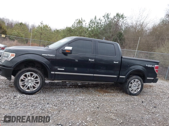 2013 Ford F-150 XL with VIN 1FTFW1ET5DFA49957, listed as a IAAI auction lot 41734397 with 265,121 mi miles. Bid and sale history available at carsss.com. Image 14.